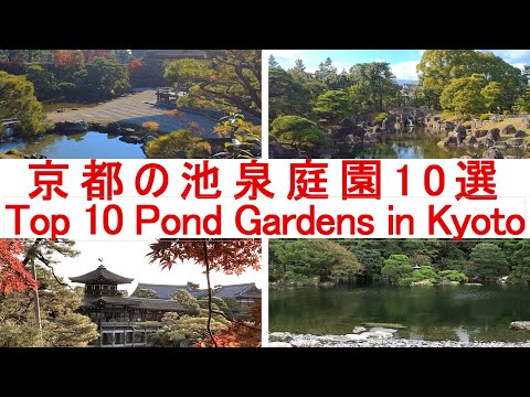 jardin-paysager-plan-cuisine-minimaliste-terrasse-couverte