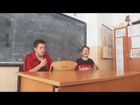 Formația Iulian Nuca