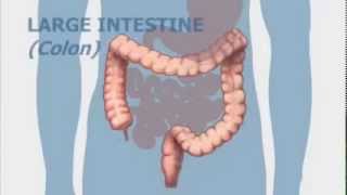 Peak Gastroenterology Associates