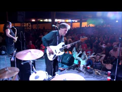 Brave Combo Hokey Pokey Highlights Westfest 2014