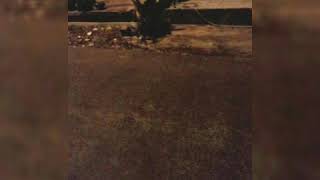 Download lagu Goyang Holiday mp3 Download lagu Goyang Holiday mp3