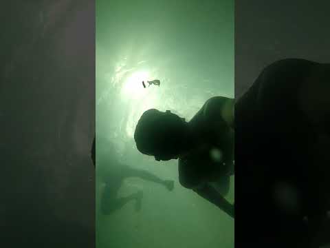 Inmersión Charco Chibugá - Dabeiba, Antioquia. #goprohero3 #underwater #travel