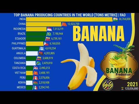 WORLD LARGEST BANANA PRODUCING COUNTRIES IN THE WORLD, EUROPE, ASIA, AMERICA'S, AFRICA AND OCEANIA
