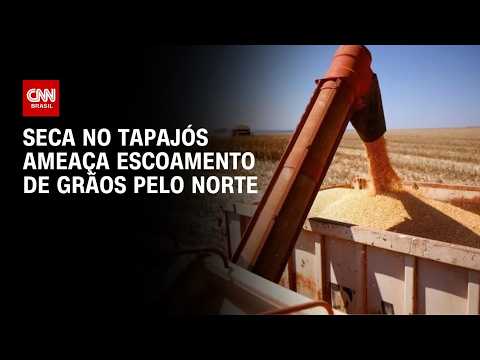 Seca e assoreamento do Tapajós ameaçam escoamento de grãos pelo Arco Norte | CNN AGRO NEWS