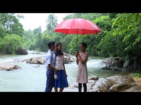 ​മീനച്ചിലാറിനെ താലോലിച്ച് വാകക്കാട് അൽഫോൺസാ ഹൈസ്കൂളിലെ നല്ല പാഠങ്ങള്‍ |Nallapadam