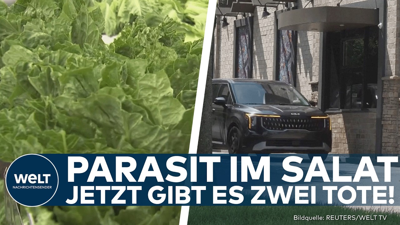 USA: Zwei Tote nach Parasiten-Ausbruch – Eisbergsalat mit Tausenden Infektionen verbunden!