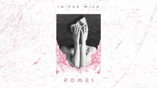 In The Wild Music Video