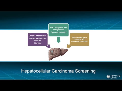 Hepatocellular Carcinoma (HCC) Screening
