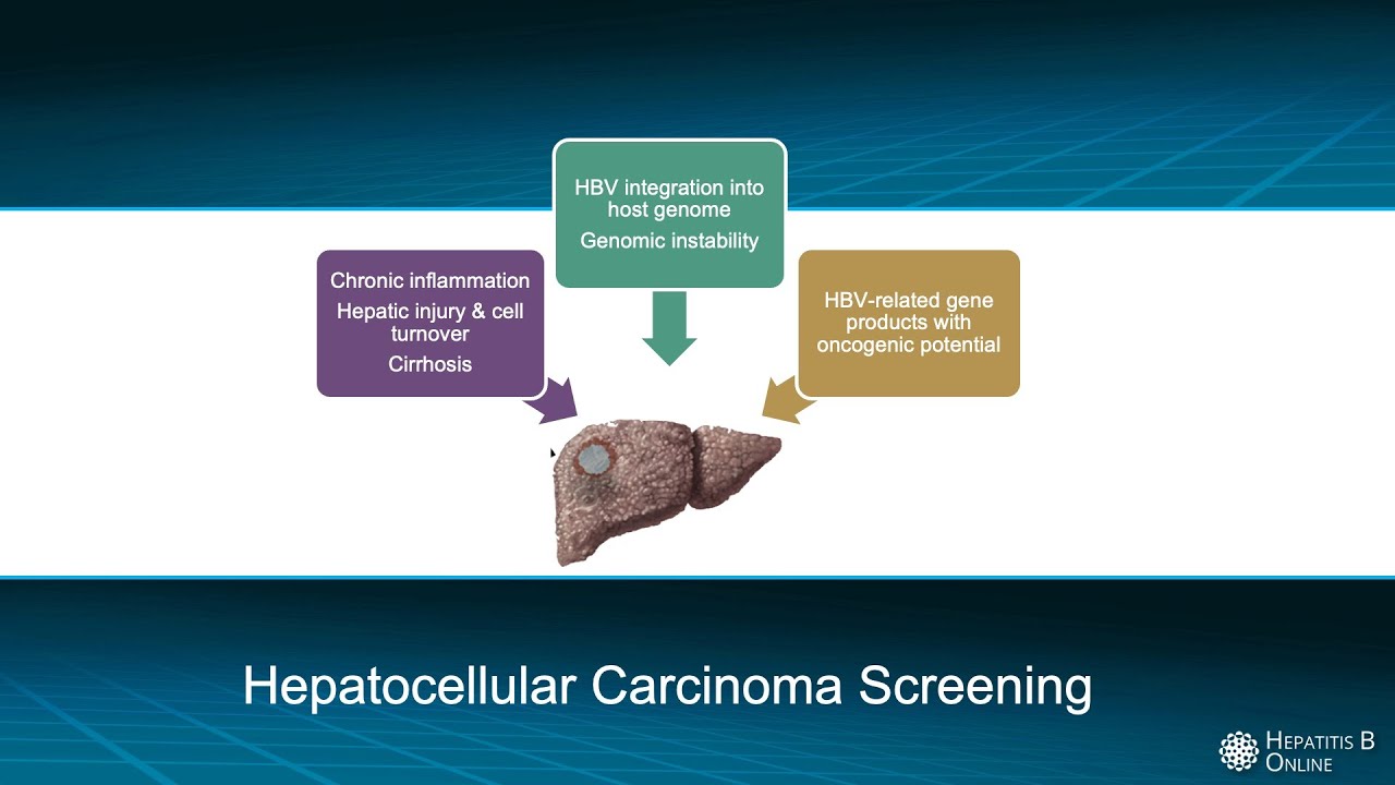 Hepatocellular Carcinoma (HCC) Screening