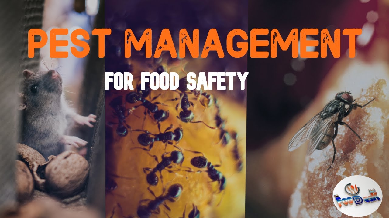 Pest Management For Food Safety