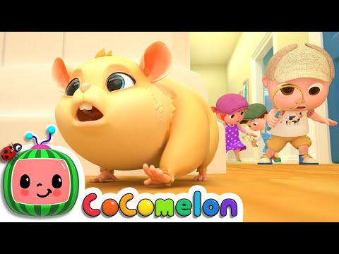 Lost Hamster | CoComelon Nursery Rhymes & Kids Songs