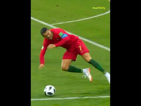 The Art of Diving 😂