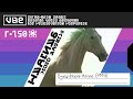 VHS Eyewitness Horse 1994