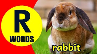 Words Starting With R - Learn Words that Start with R Sound