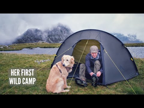 Solo Camping with my Dog in the Mountains (Surviving BRUTAL WINDS in the Nortent Ly1)