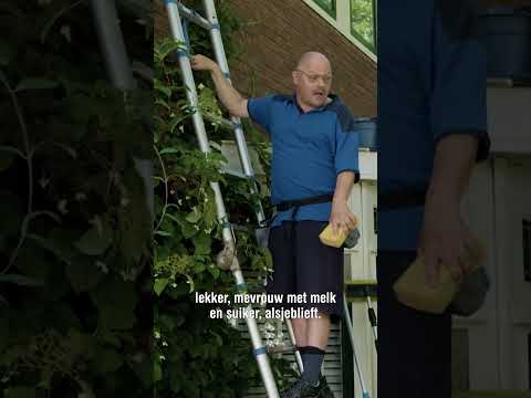 Glazenwasser - Sluipschutters (S7A1)
