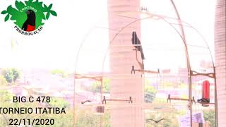 APRESENTAÇÃO HISTÓRICA BIG C 478 - GALADOR CRIATÓRIO PRORROGAÇÃO