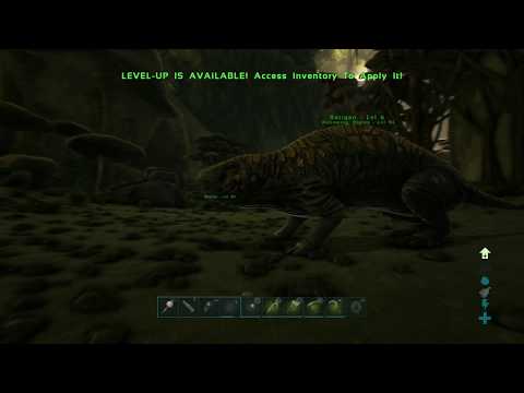 ARK Survival Evolved : Where To Find A Roll Rat And How To Tame Them In Aberration .