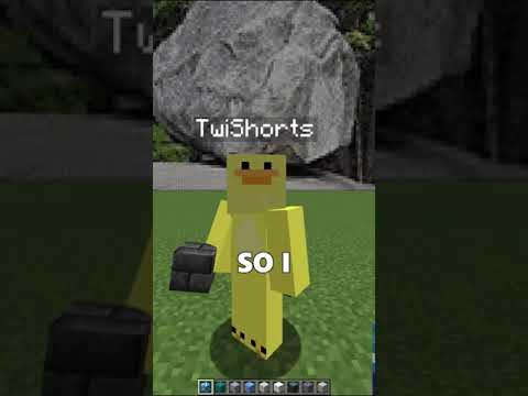 Twi Shorts makes a ROCK MURAL in MINECRAFT 😭 #shorts