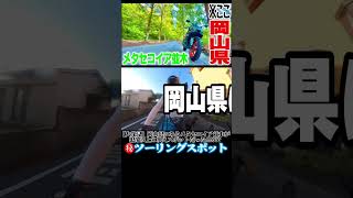岡山県にもあのメタセコイア並木があったんだ.....#yzfr25 #yamaha #prunus #automobile #yamahar25 #ツーリング #バイク #motovlog