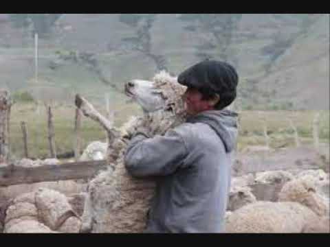 Raul Ojeda - El mayor de los muchachos