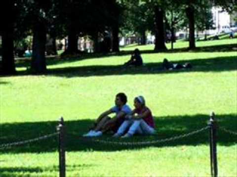 Lazy Life . Quentin E. Klopjaeger..wmv