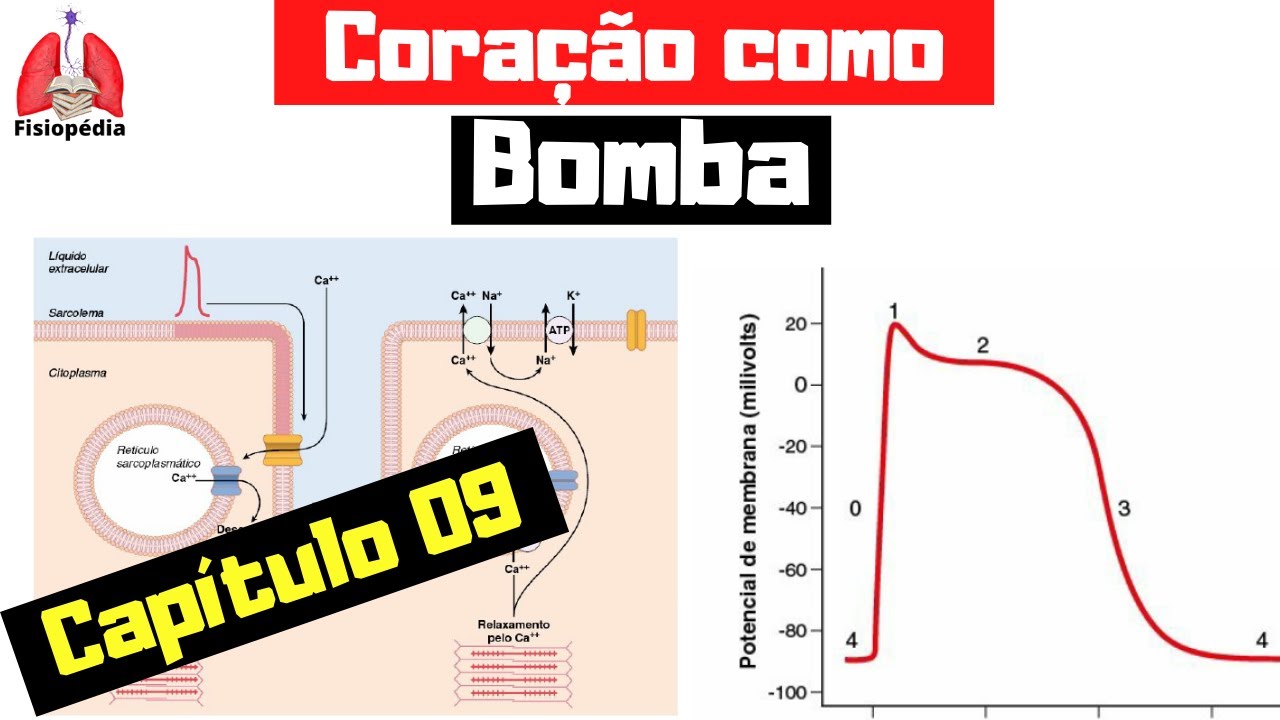 Cap.09: Coração como bomba (PARTE I)
