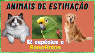 Animais de Estimação(12 Espécies e Benefícios)