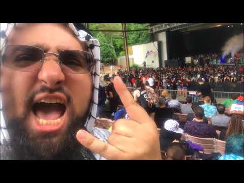 warped tour 2018 Detroit , last warped tour