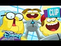 The Greens Vs The Greens Big City Greens Disney Channel