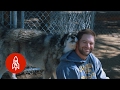 Living with Wolves Saved My Life - Great Big Story Living with Wolves Saved My Life