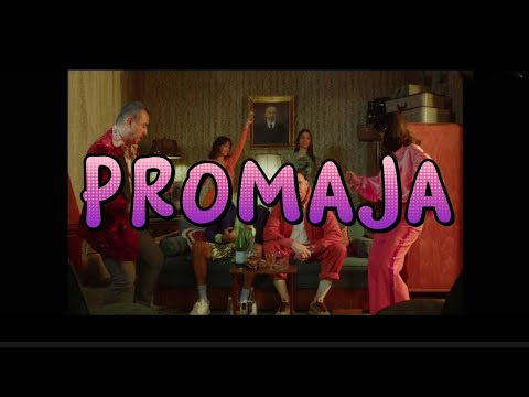 CVIJA X GAZDA PAJA - PROMAJA