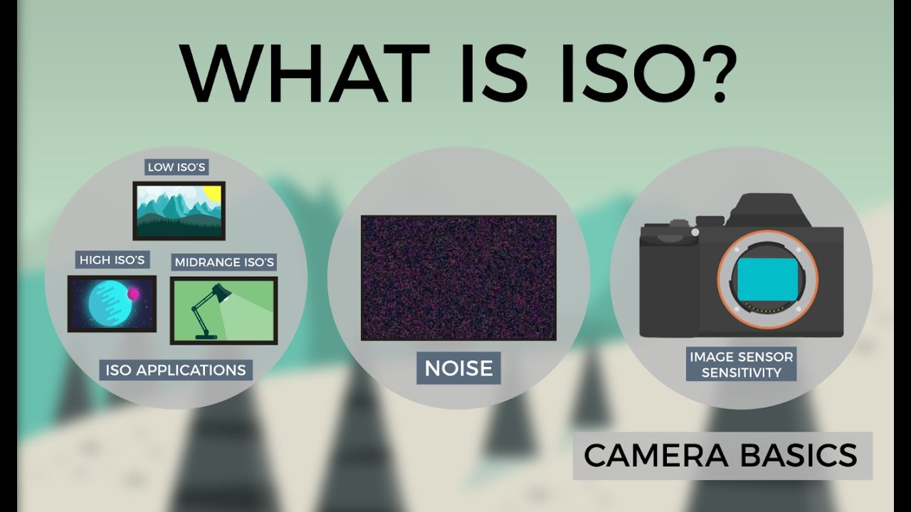 Camera Basics - ISO
