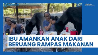 Viral Seorang Ibu Lindungi Putranya dari Beruang Liar yang Rampas Makanan Mereka