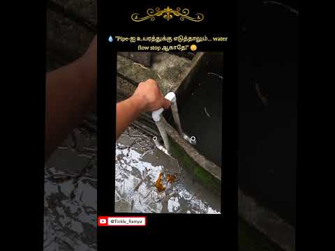 Sarah Lalthanmawia's post tagged #natureinspired