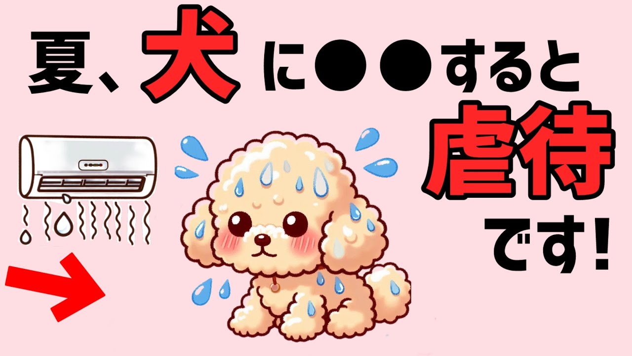 夏、犬に●●すると虐待です!雑学 保護犬 熱中症 子犬 犬のいる生活 豆知識  不思議