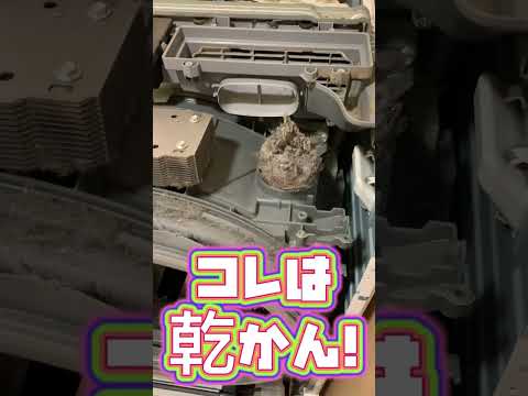スマート洗濯機はユーザーに衝撃を与える - 「一体何だ」