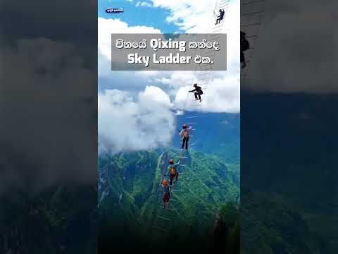 #trending #viral#fouryoupage #fypage#fouryoupage#millionviews#1000000views subscriber #viralvideo #b