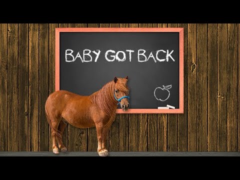 Fundamentals With Phoenix: Lesson 4 - Baby Got Back