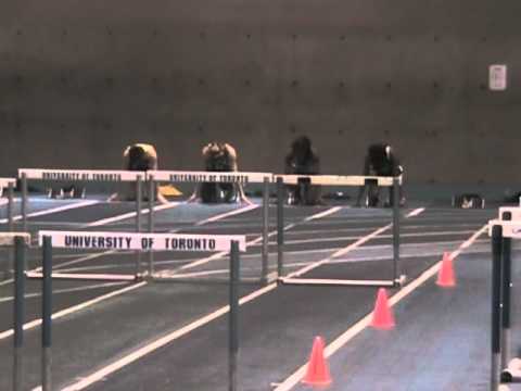 2011 U of T Nike Sharon Anderson Memorial Womens 60mh Prelims Ht 2 - 1-8-11