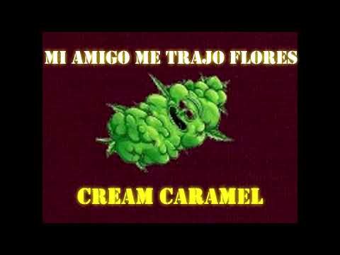 TOM RANCHERO   MI AMIGO ME TRAJO FLORES Prod  Fase Studio