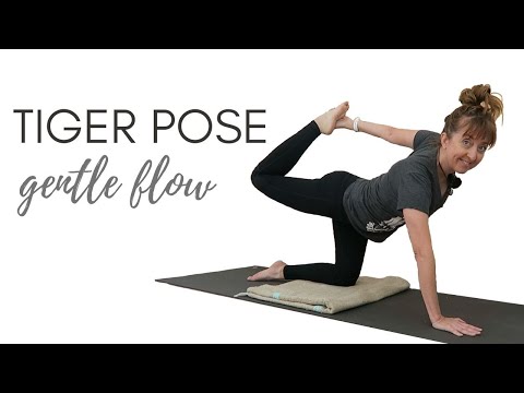Tiger Pose 20 Minute Gentle Yoga Flow for Beginners - 2022 Chinese New Year Yoga, Year of the Tiger