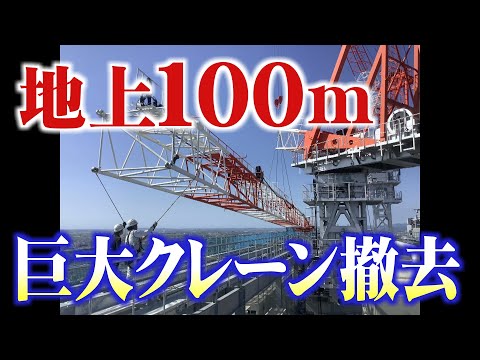 コーカサスクレーンビル 植物