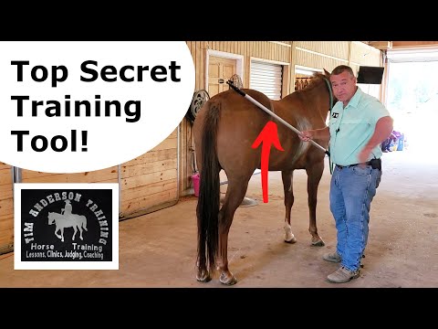 What I do with a horse that kicks when asked to pick up his back feet