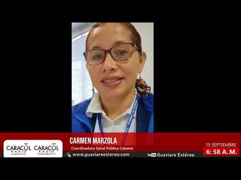 Malaria en Calamar: fumigación y prevención en Las Damas