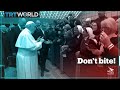 ‘Don’t bite’: Pope Francis ‘jokes’ to a nun