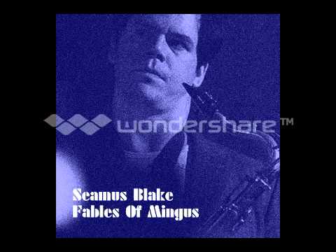 Seamus Blake - Portrait