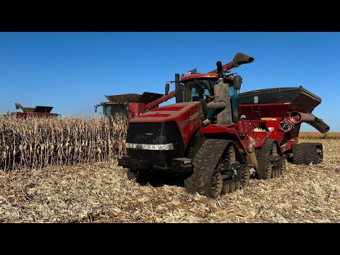 Corn Head COMPARISON!! Which Brand Will Do BETTER?