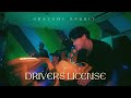 ANATOMY RABBIT - drivers license ( Olivia Rodrigo ) ANATOMY RABBIT - drivers license ( Olivia Rodrigo )