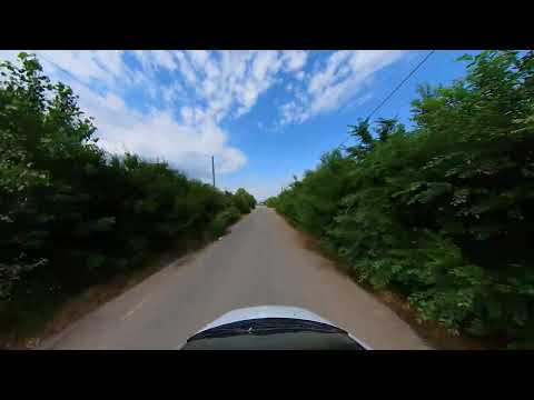 Precistanu Garoafa Vrancea